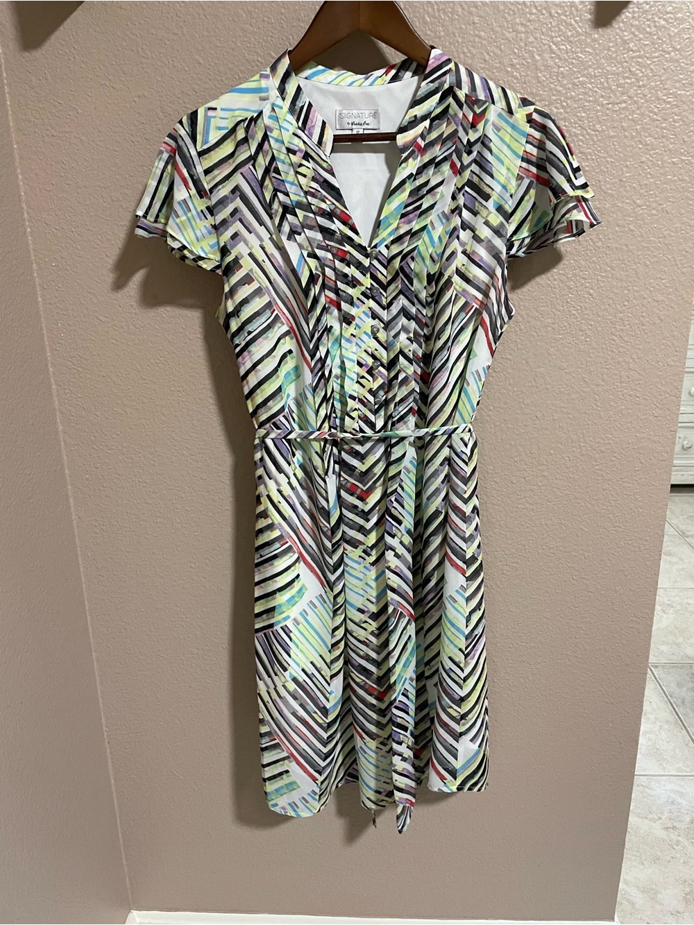 Signature by Robbie B vibrant dress